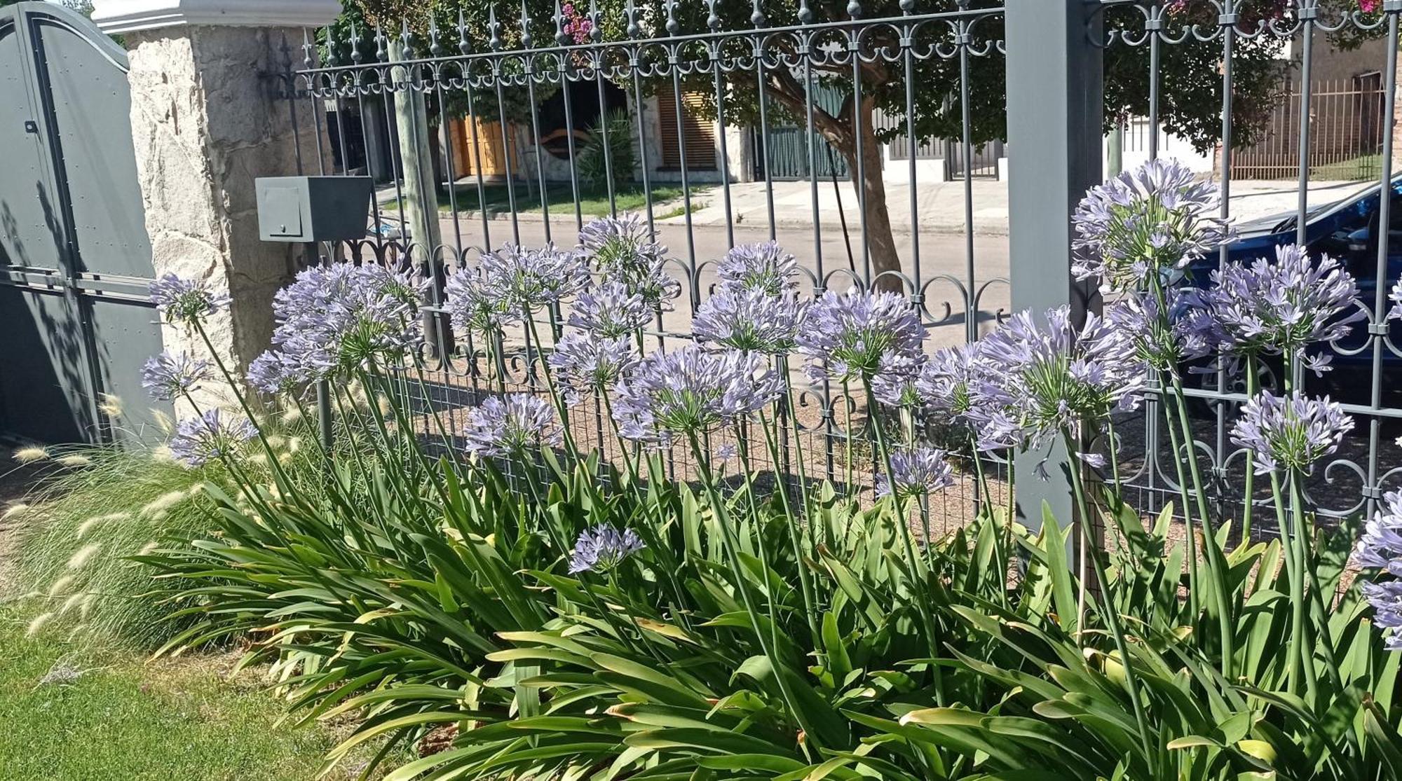 Oasis Cochera Opcional Bahía Blanca Kamer foto
